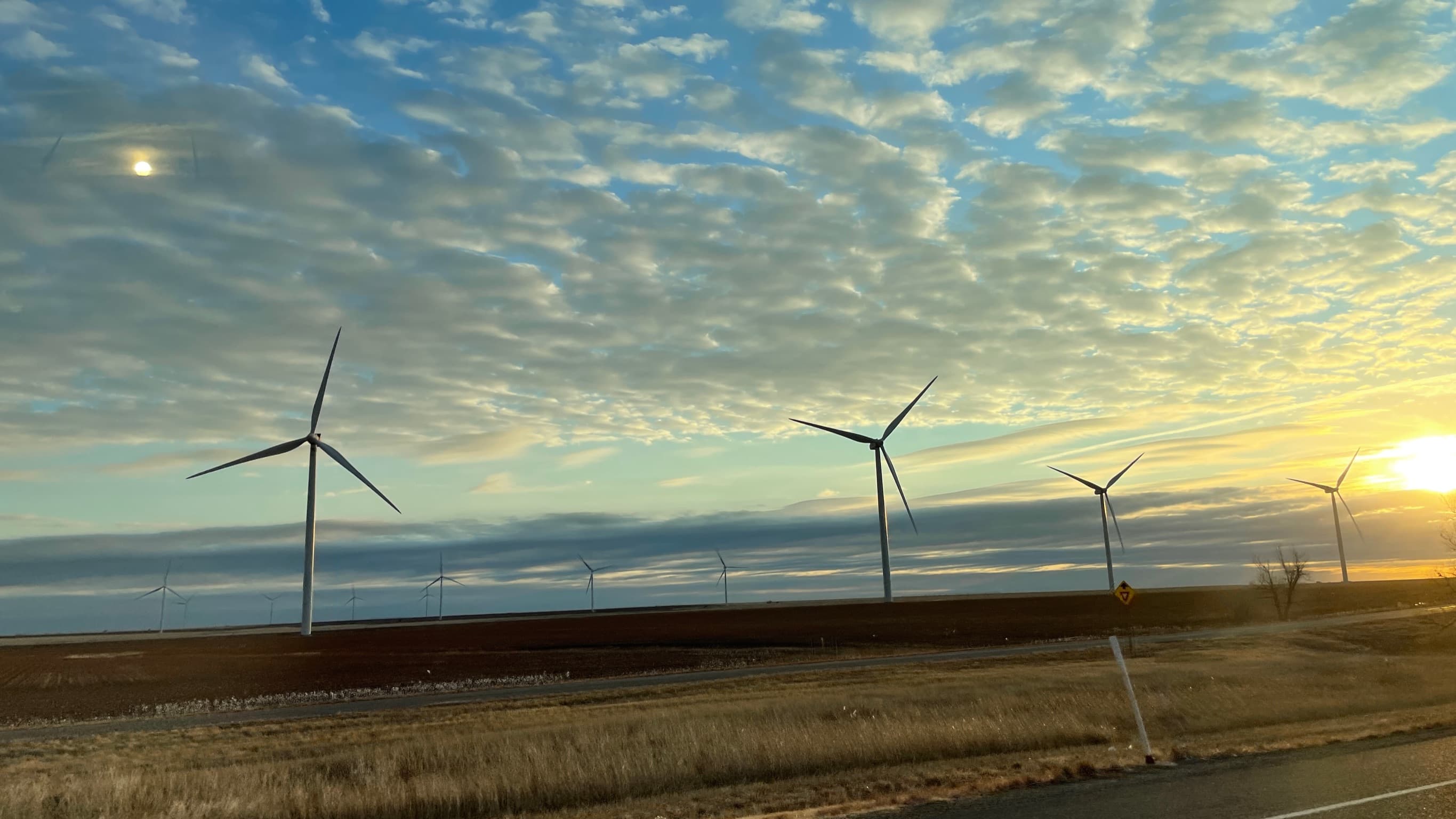 Wind farm representing sustainable energy and environmental impact